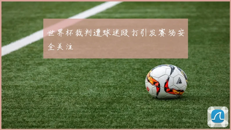 世界杯裁判遭球迷殴打引发赛场安全关注