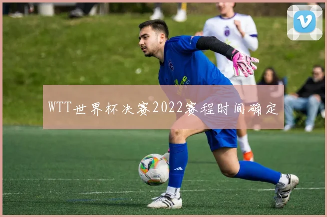 WTT世界杯决赛2022赛程时间确定