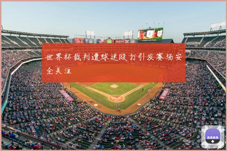世界杯裁判遭球迷殴打引发赛场安全关注