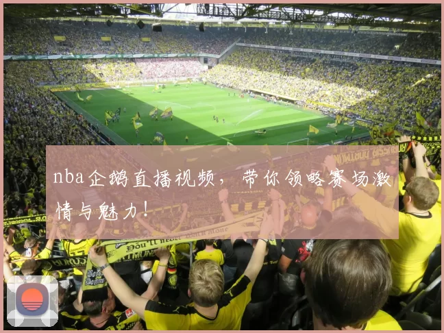 nba企鹅直播视频，带你领略赛场激情与魅力！